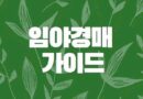 임야 경매 물건 입찰 추후 형질변경 건축 경사도 준보전임지 분묘기지권등 유의사항