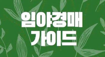 임야 경매 물건 입찰 추후 형질변경 건축 경사도 준보전임지 분묘기지권등 유의사항