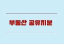부동산 공유지분