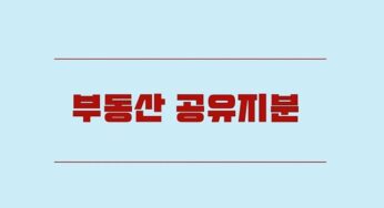 부동산 공유지분 성립 처분 및 공유물 사용 수익 관리