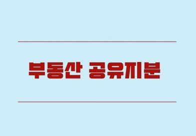 부동산 공유지분