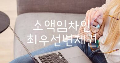 소액임차인 최우선변제