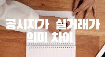 표준지 개별 공시지가 세금산정 보수적 책정 실거래가 매수자 매도자 계약 가격